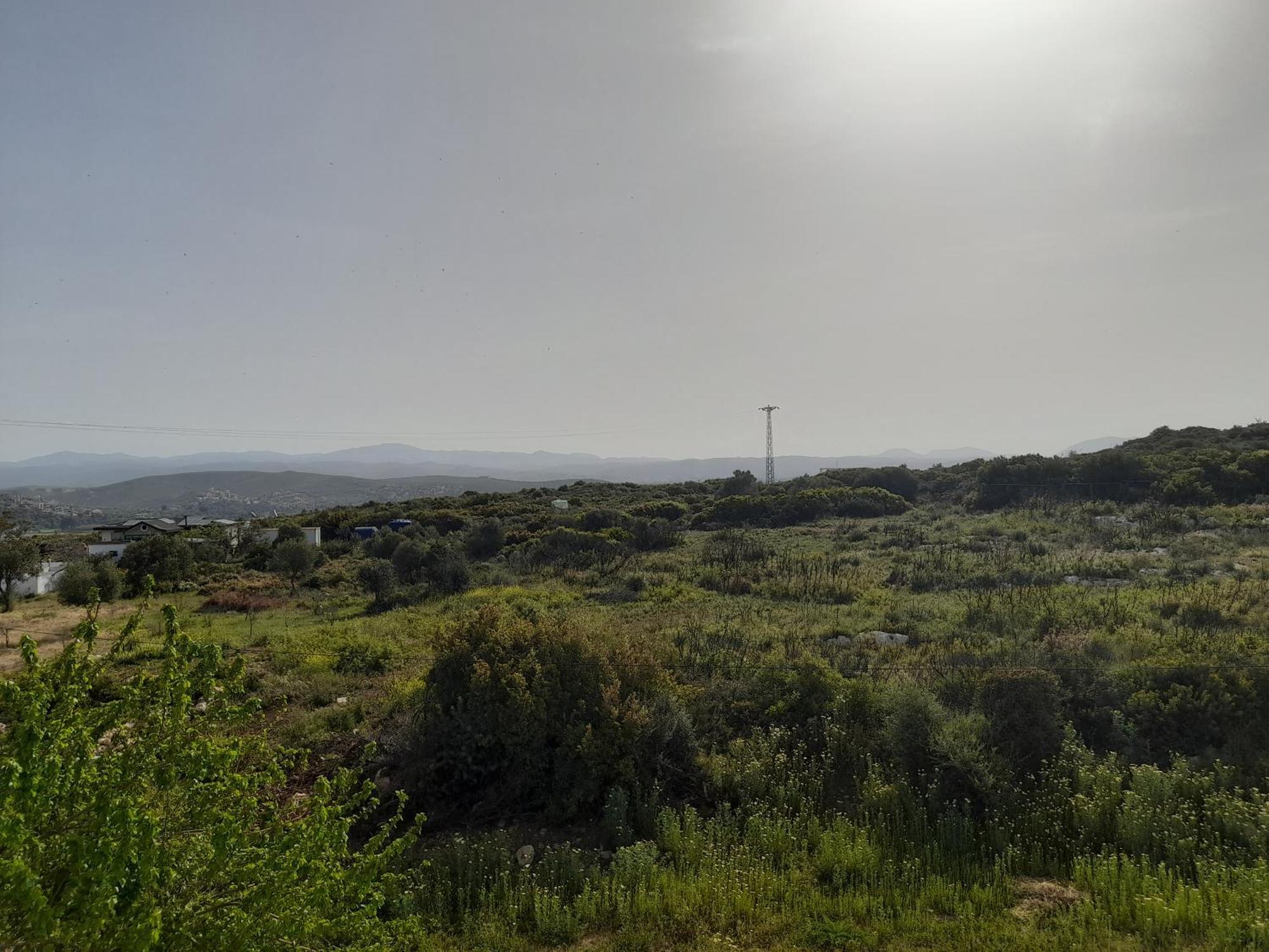 Huzur Hotel Siğacık 外观 照片